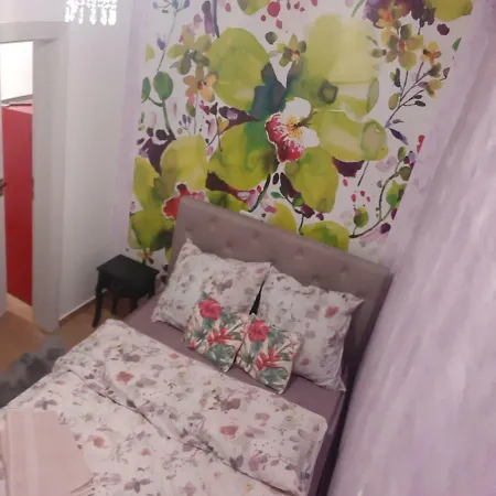 El Rey Apartament *